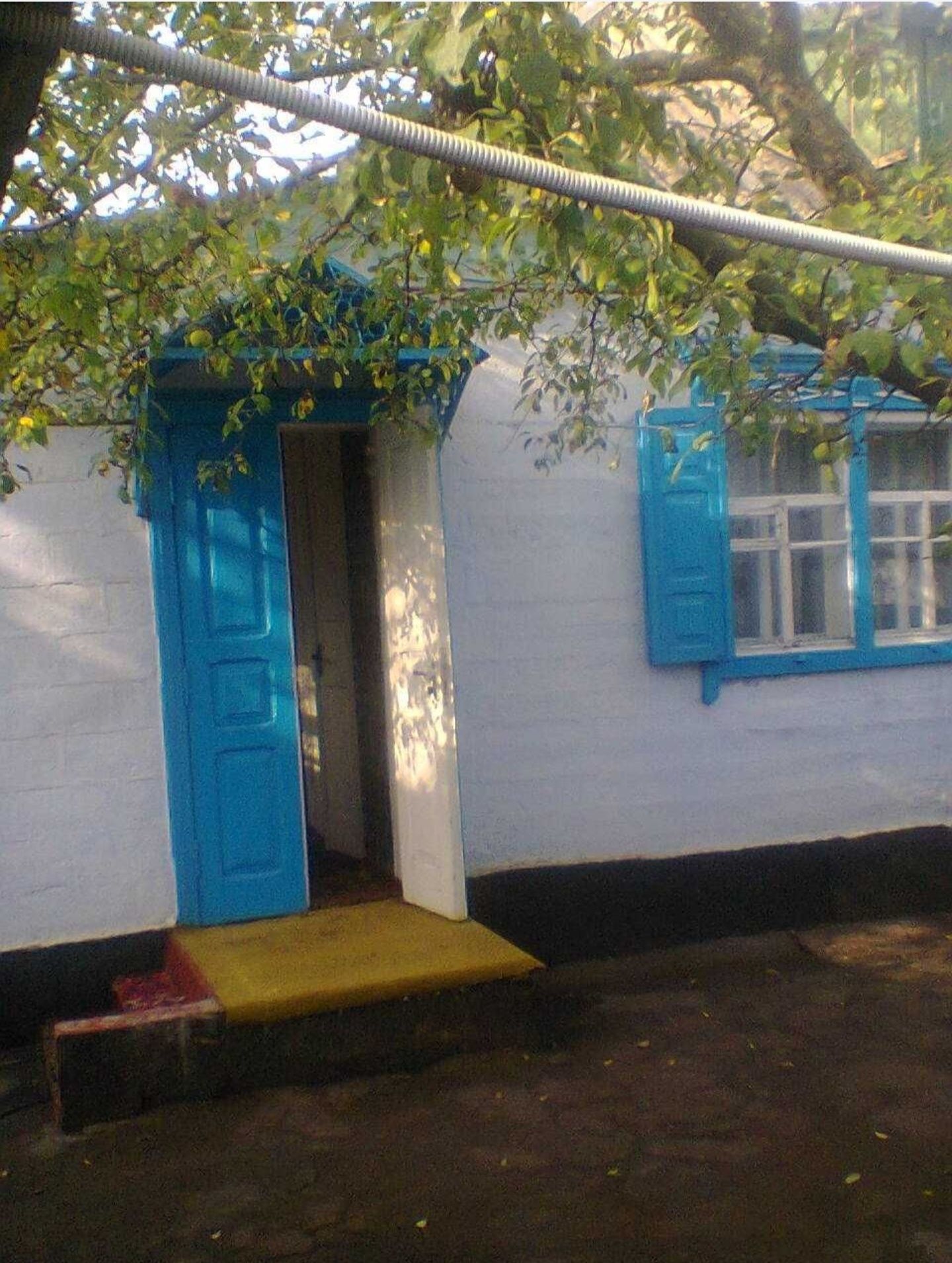 Продам уютный дом в Диевке