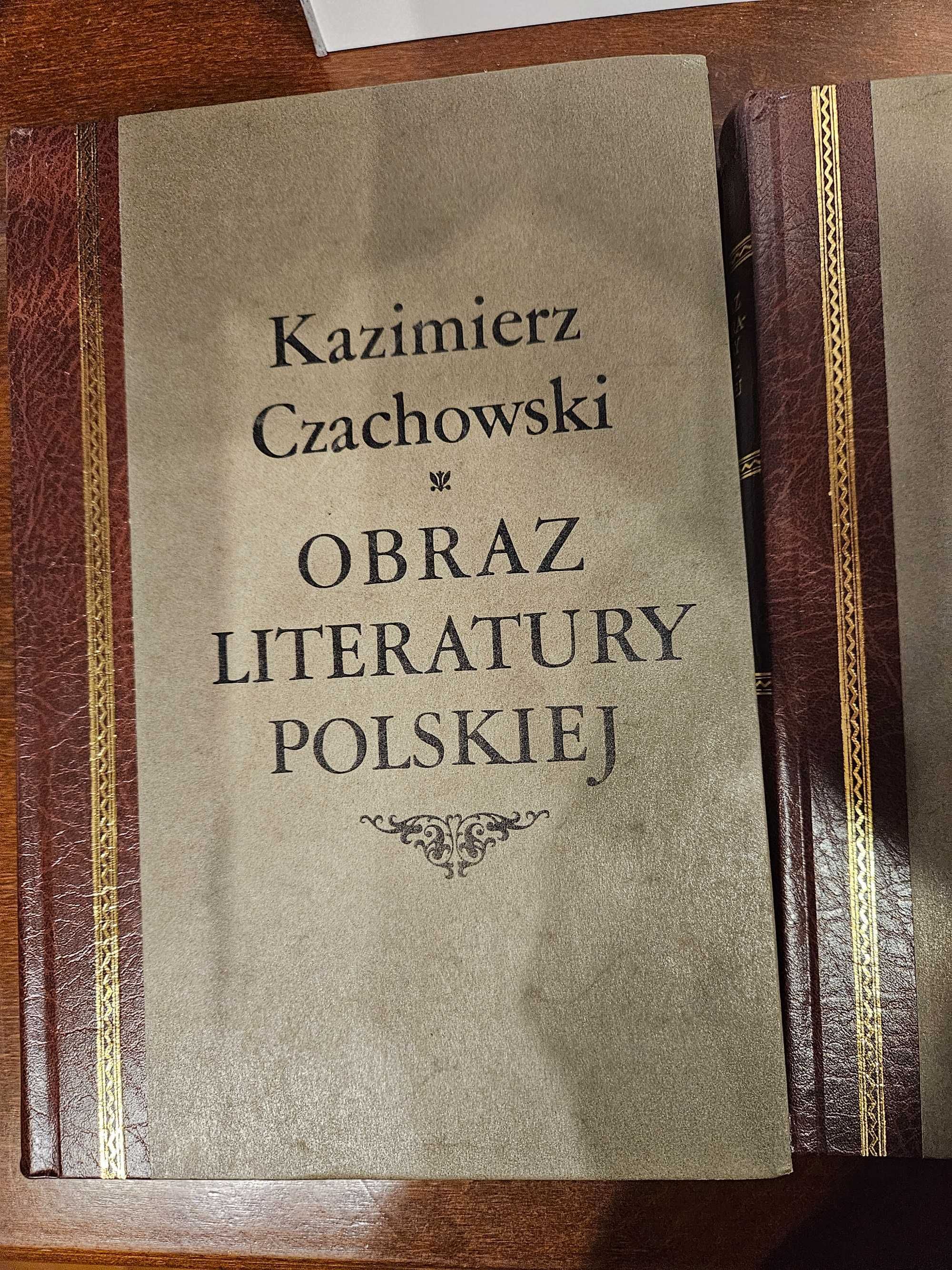 Obraz literatury polskiej Kazimierz Czachowski (jak nowa)