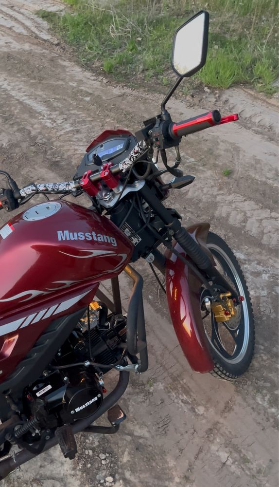 Musstang FIT II 2023