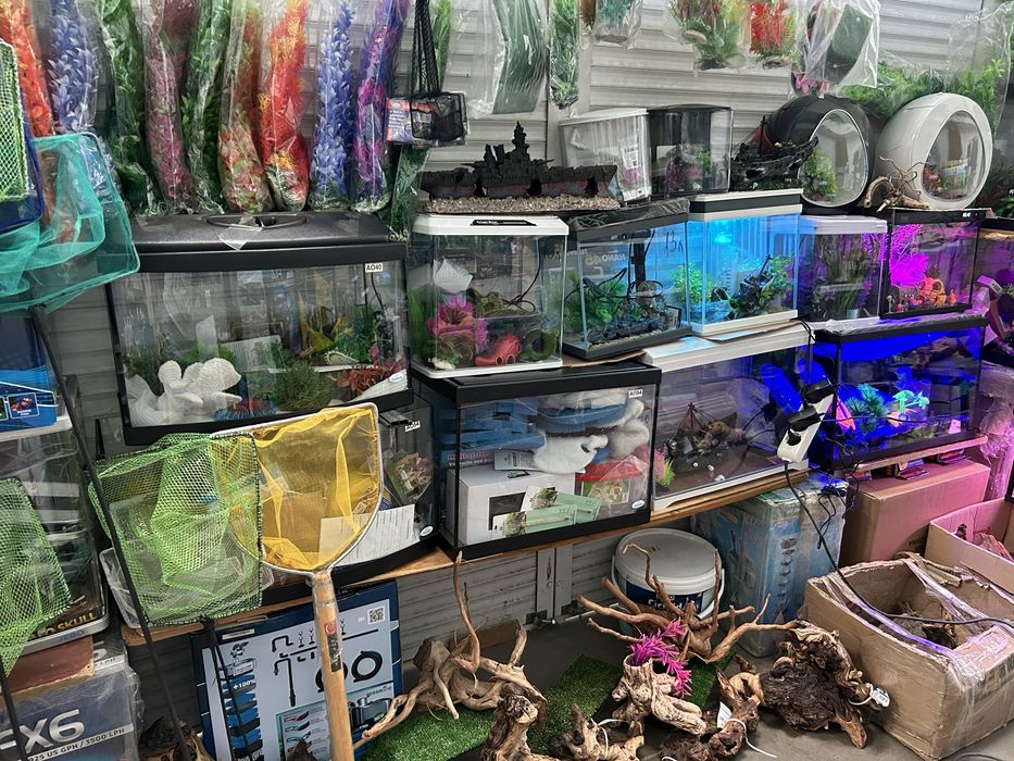 Акваріуми.           .