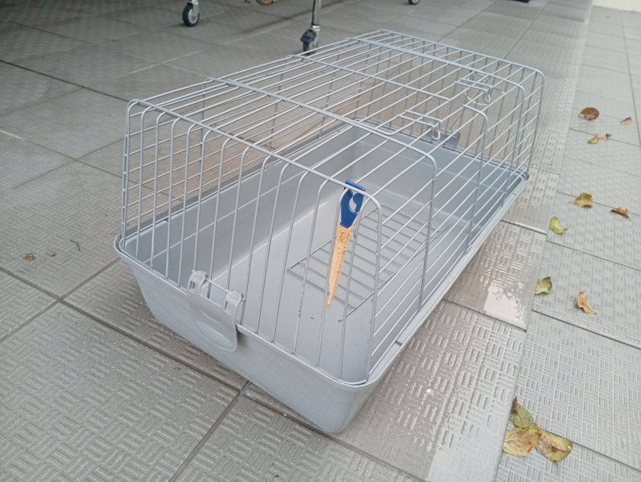 Gaiola coelho,  roedores