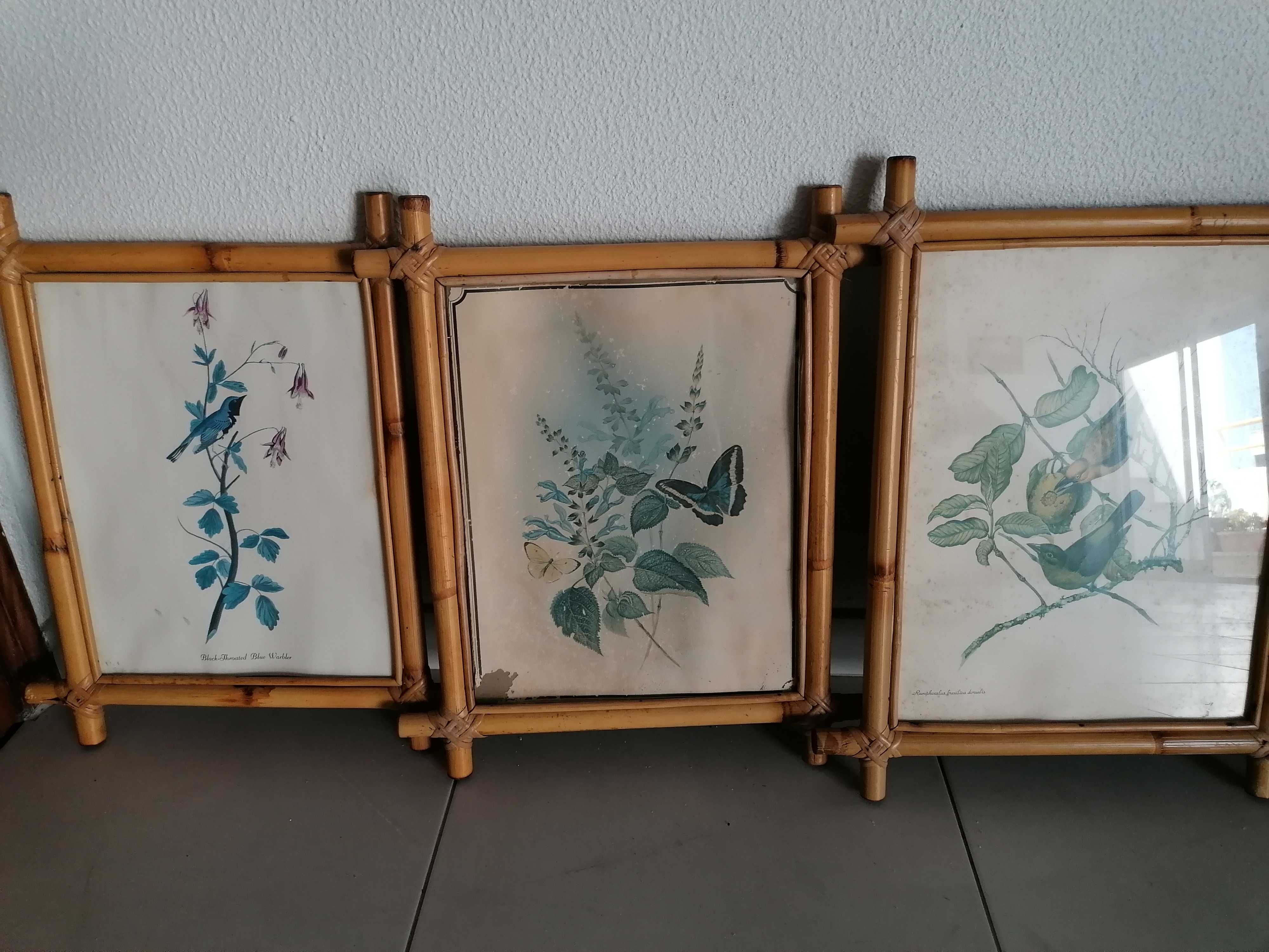 Quadros parede com moldura