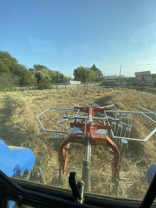 Feno da campanha 2025