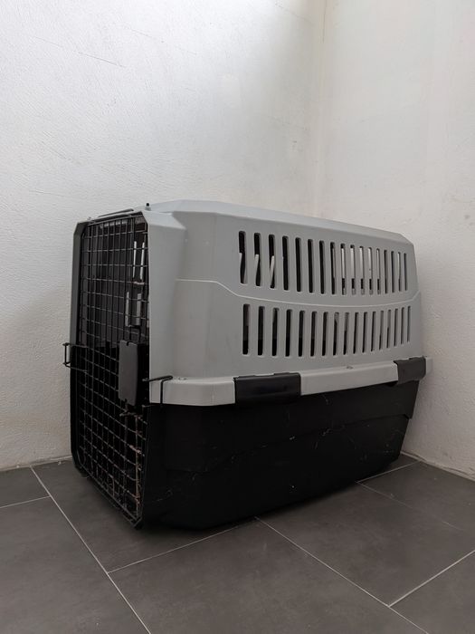 Transportadora de animais