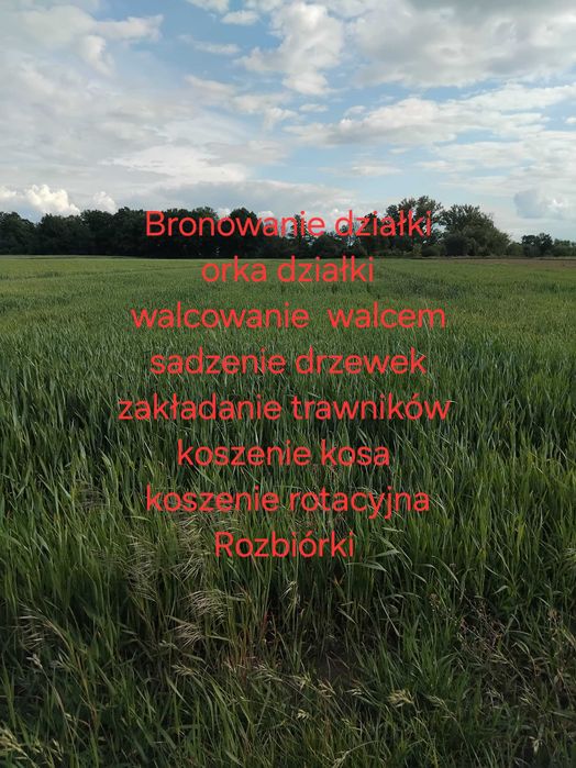 Wycinki krzaków,bronowanie. Walcowanie ,bronowanie, wykoszenia