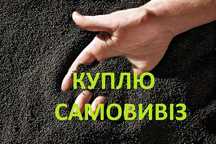 Рапс ( ріпак ). Самовивіз по західній Україні. Дорого.