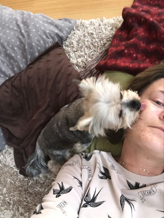 Opieka nad zwierzetami