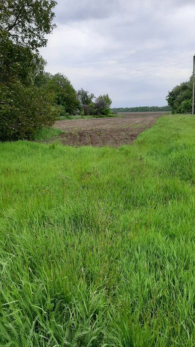 Продам будинок.  с.Чорноглазівка