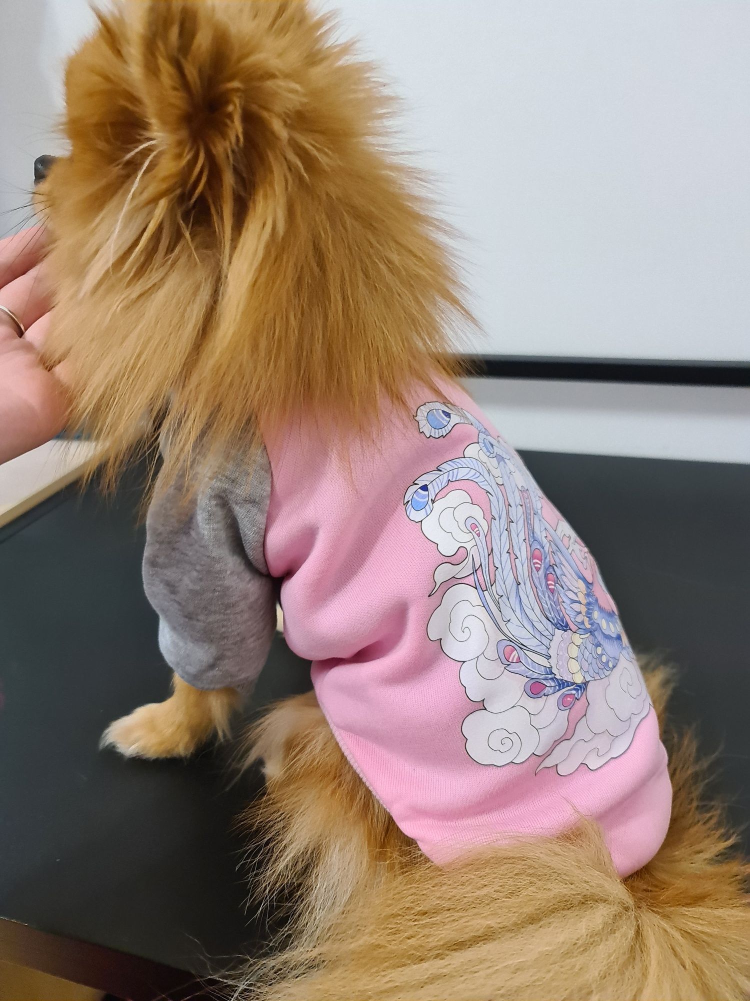 Bluza dresowa różowa dla psa