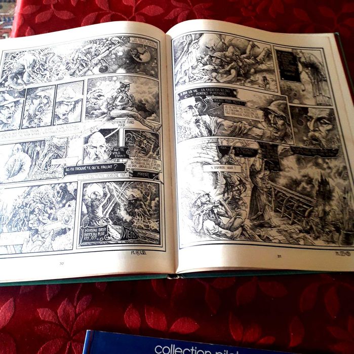 BD - Philippe Druillet - Firaz et la Ville Fleur/Le Mage Acrylic