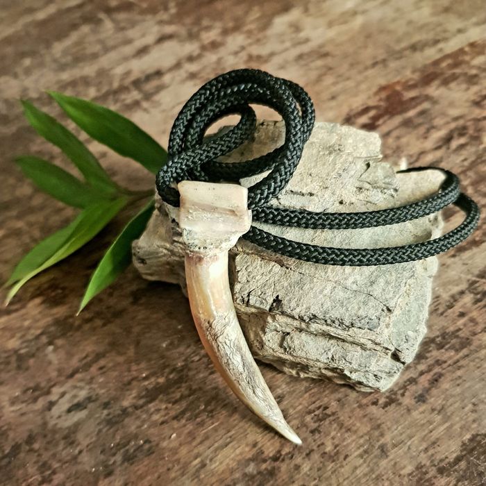 Амулет Натуральный Большой Коготь Боевого Петуха