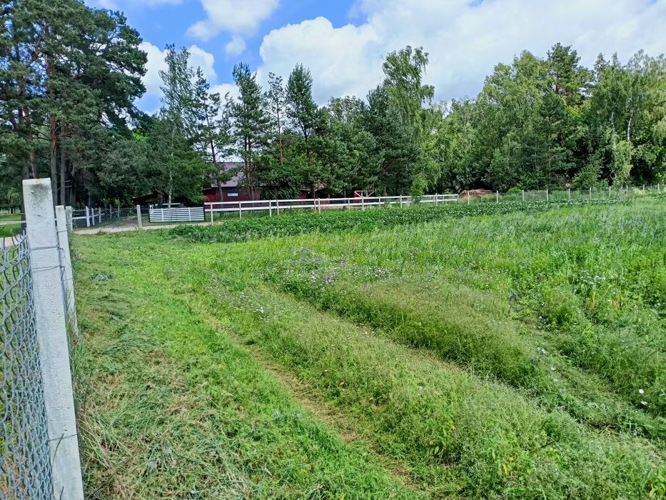 Działka z warunkami zabudowy