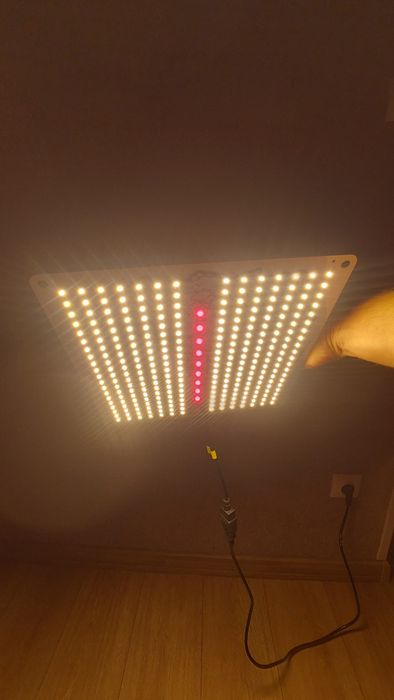 Lampa led do uprawy roślin