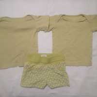 Conjunto calções + 2 blusas básicas (ZIPPY 2-3 anos)