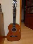 guitarra com mala e afinador