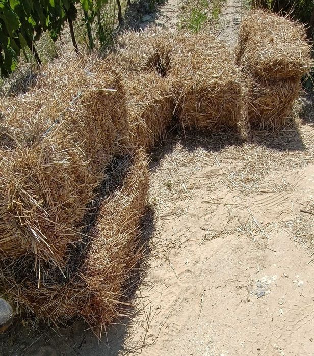 Fardos Pequenos Palha de Azevem 2025