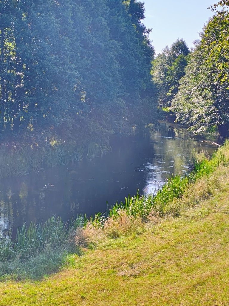 Pokoje na Kaszubach nad rzeką Zbrzyca Swornegacie