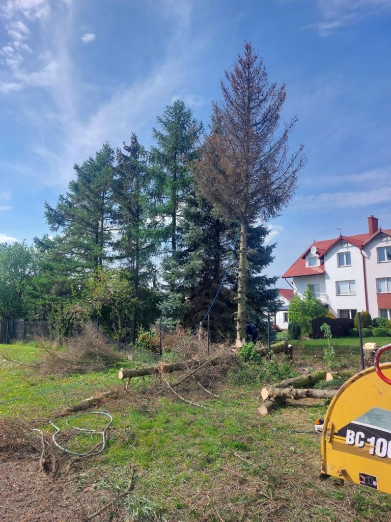 Wycinka drzew ,wycinki trudne prace ogrodowe mielenie frezowanie karp