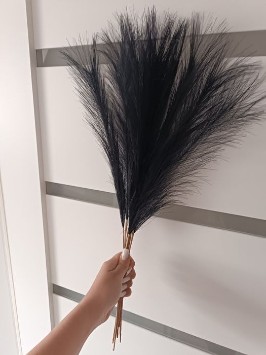 Zestaw nowa trawa Pampa pampasowa czarna Boho home&you  7