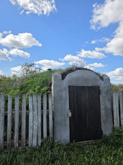 Продам будинок в с.Великі Мошківці з землею 0,75га