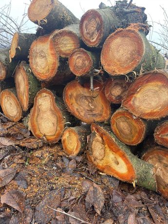 Zdrowe drewno owocowe ,drewno czereśnia,czereśniowe drewno do kominka