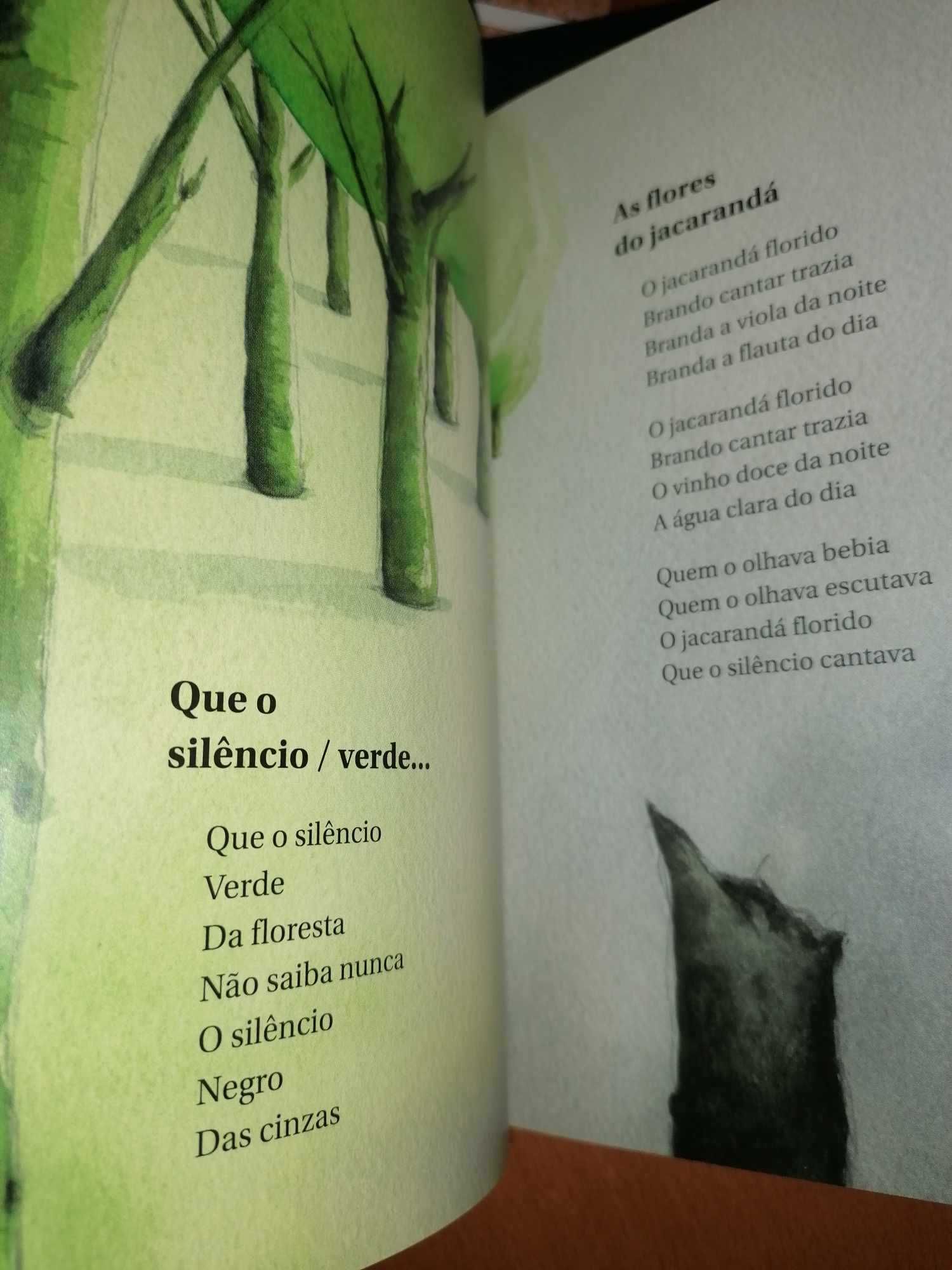 Livro "As fadas verdes" - NOVO - Oferta de portes