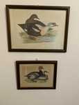 Quadros decorativos