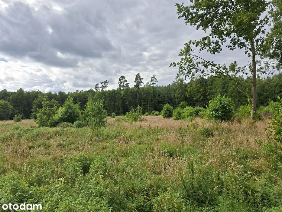 Duża działka budowlana przy lesie, blisko klubów żeglarskich.
