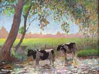 Vacas à sombra das árvores