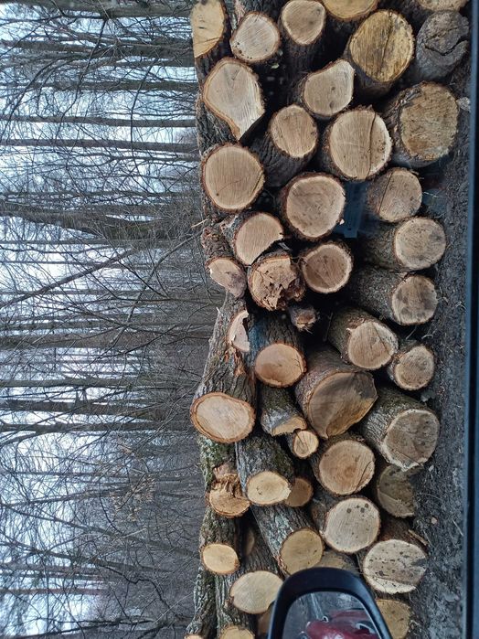 drewno opałowe dąb