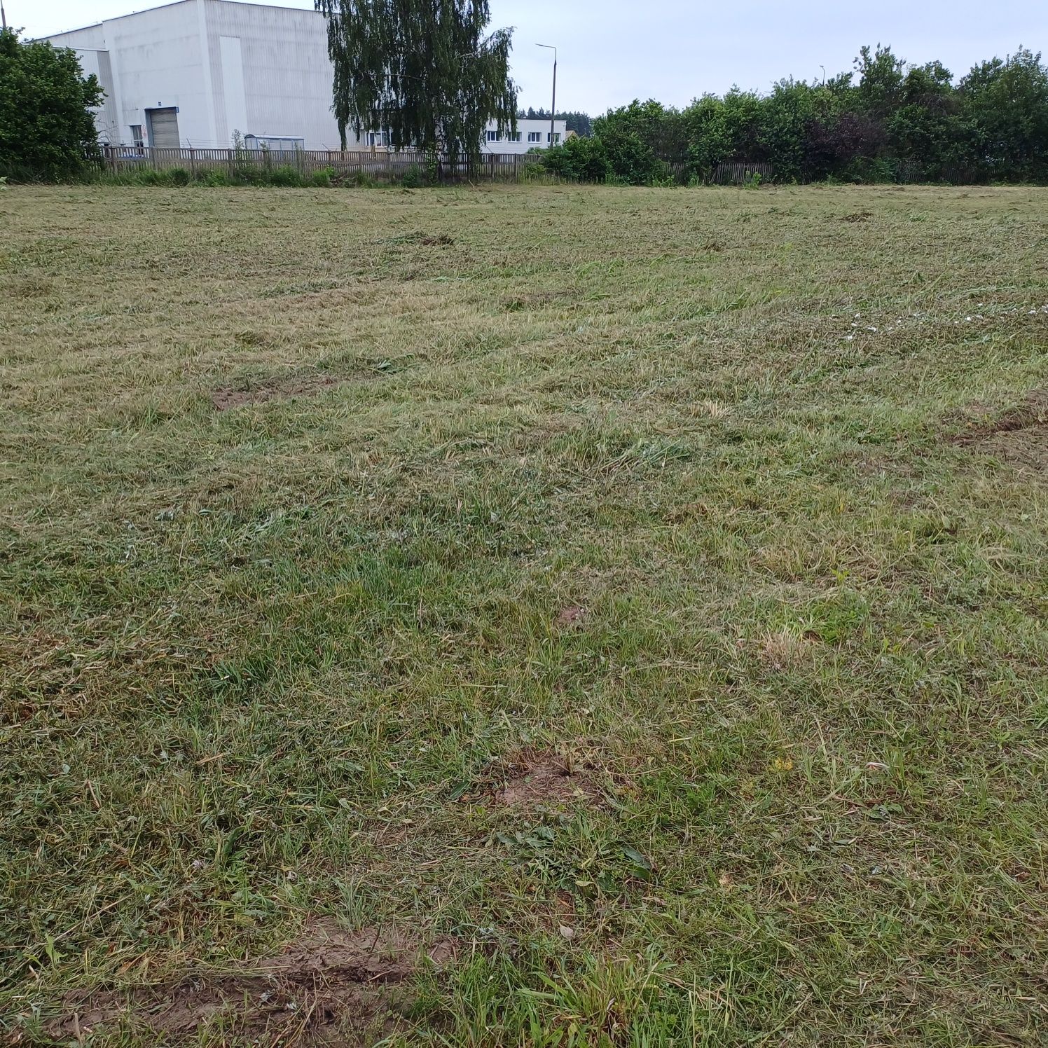Koszenie traw zarośli farm fotowoltaicznych mulczer Faktura
