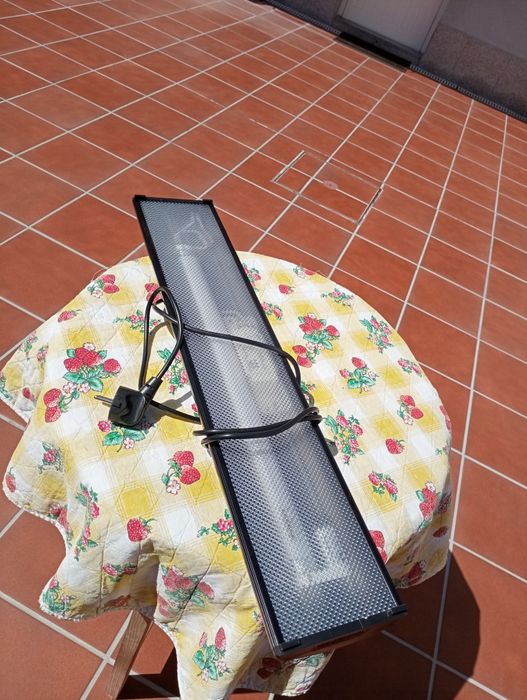 Candeeiro de aquário