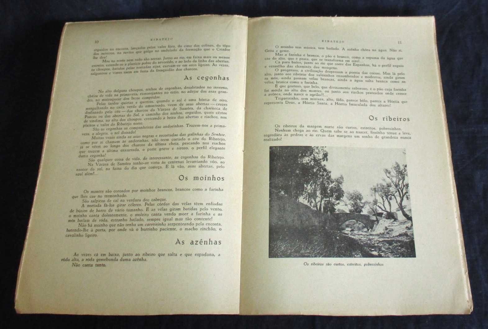 Livro Ribatejo Francisco Câncio 1934