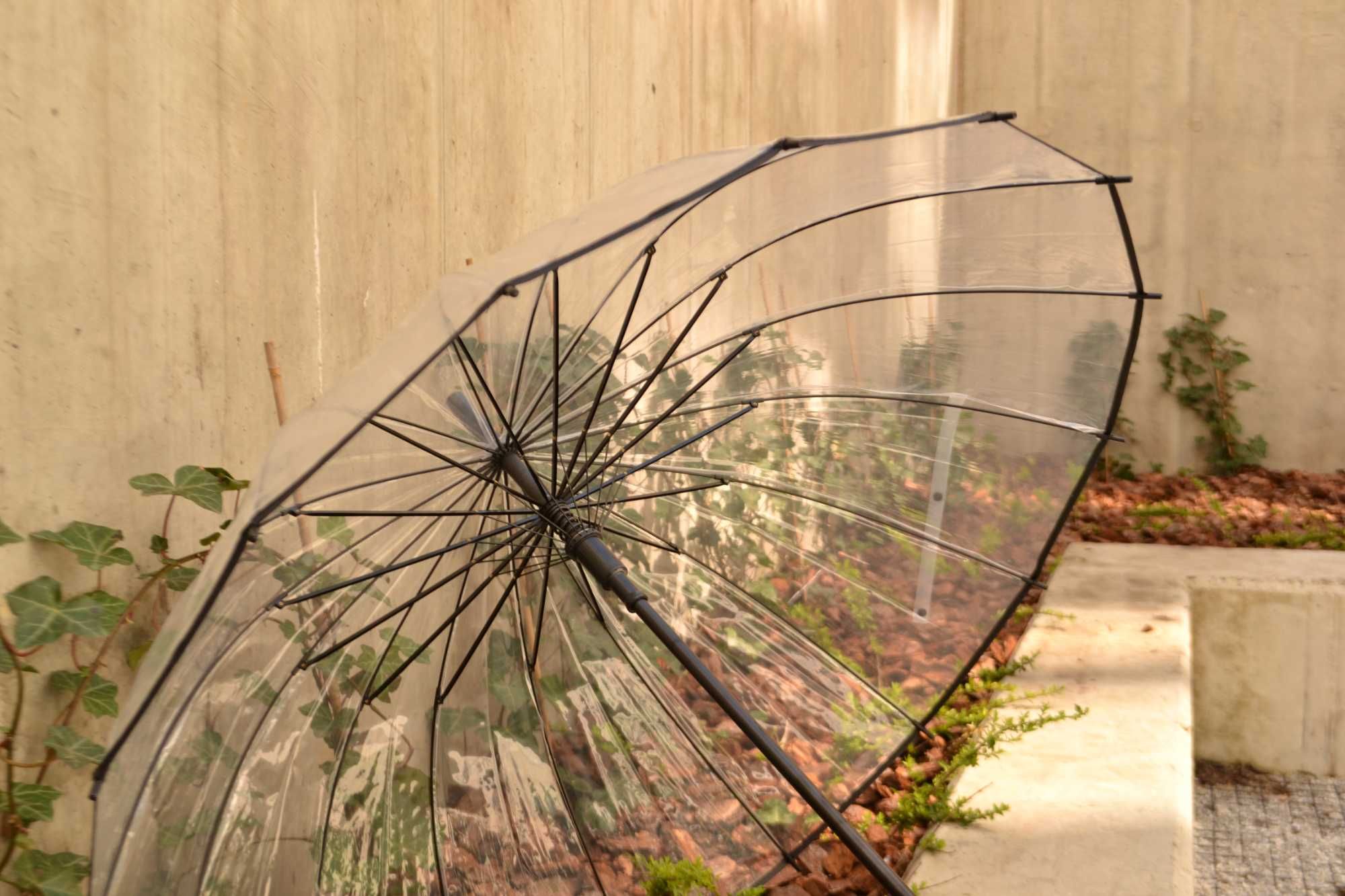 Парасоля зонт прозора тростина напівавтомат для фотосесій жіноча