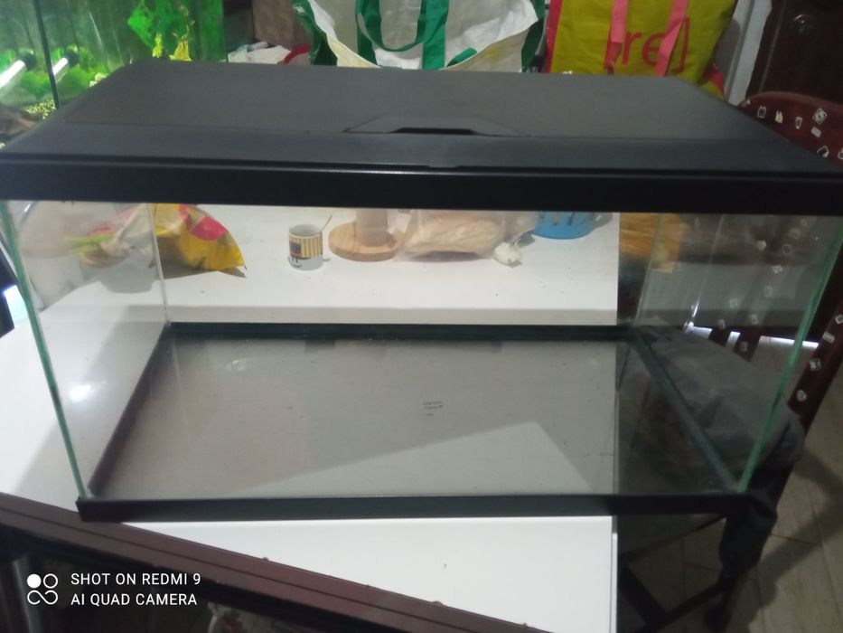 Aquário ciano para peixes ou tartarugas