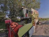 Claas Commandor 114 CS –mocny, sprawdzony,dwa hedery [Dominator, Mega]