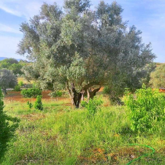 Villa T3 com Piscina • Privacidade Total • Algarve (Parchal)