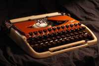 Groma Kolibri maszyna do pisania - Odrestaurowana