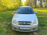 Аренда авто  Chevrolet aveo