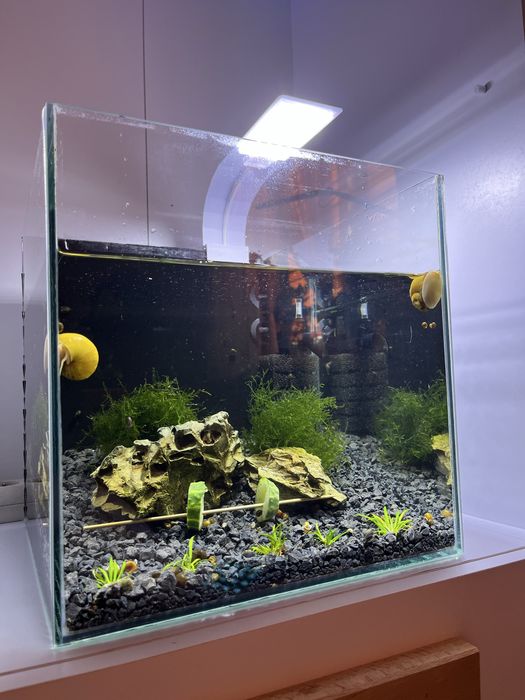 Akwarium 35l z akcesoriami