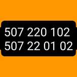Złoty numer 507.22.01.02