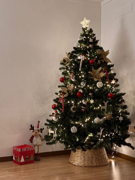 Árvore de Natal 210m