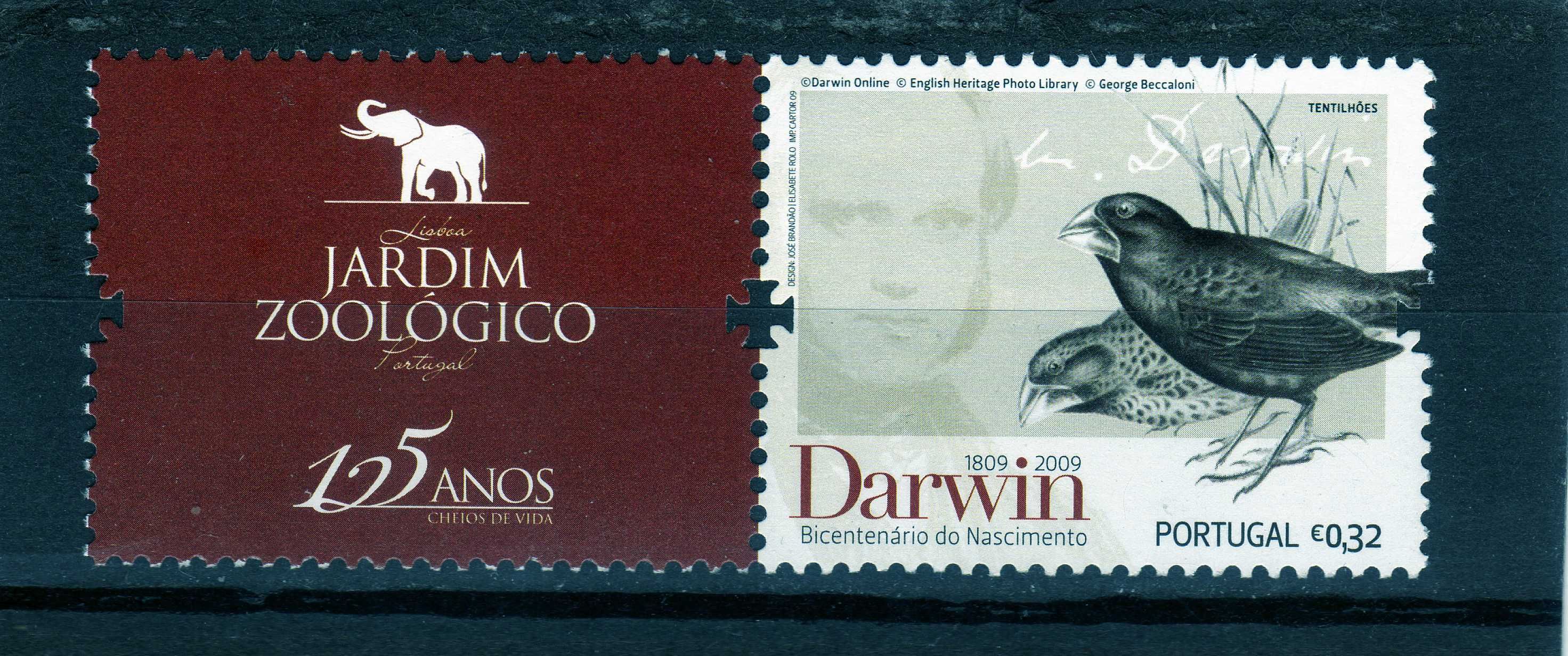 Selo Corporate Darwin