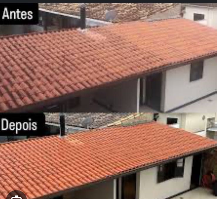 Limpe seu terreno seu jardim ,” promoção “