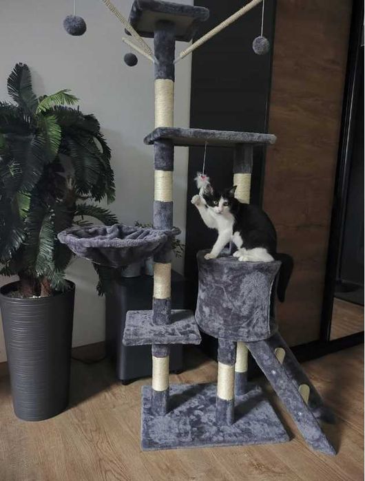 Drapak dla kota NOWY wysoki 6 POZIOMÓW wieża drzewko legowisko domek