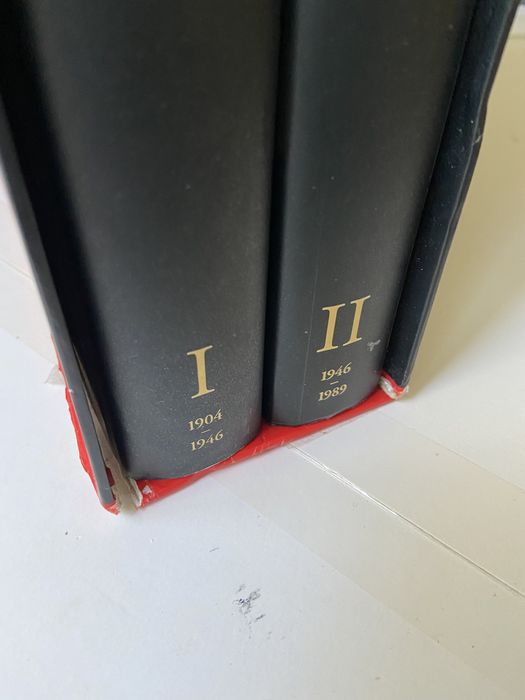 Dali - a obra pintada