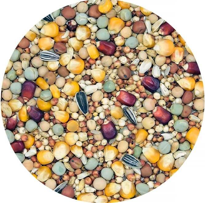 Karma dla gołębi MDM RLS rozpłodowo-lotowa 25 kg ** zwierzogrod.in **