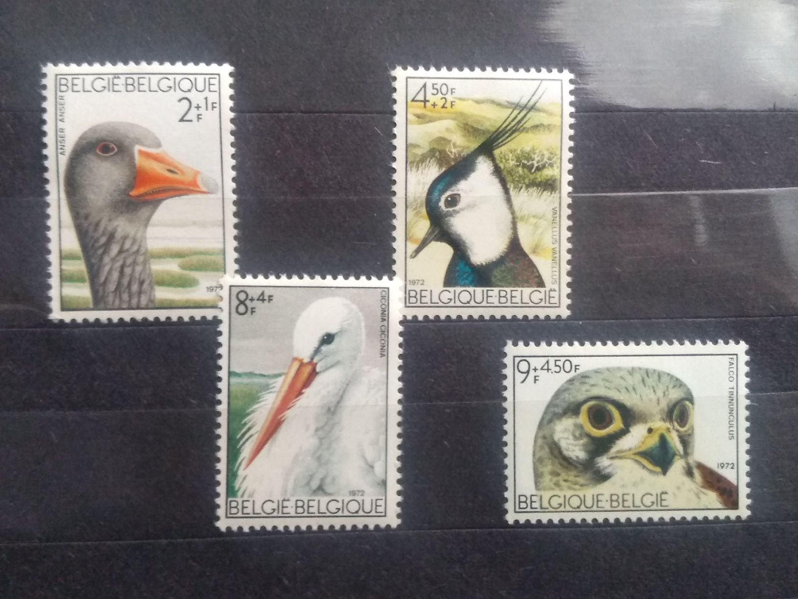 Znaczki Belgia 1972 fauna ptaki