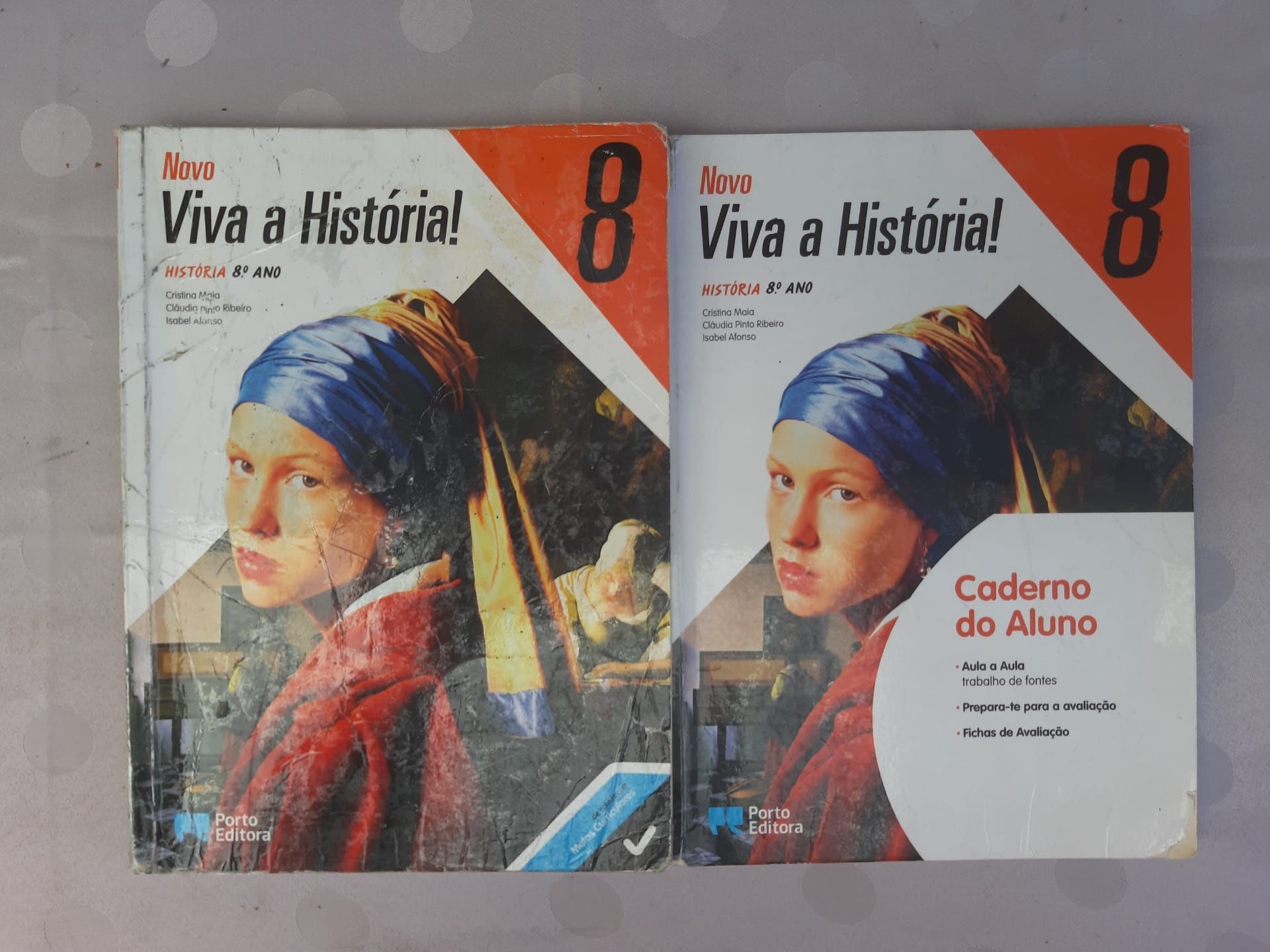 livros 8.Ano manuais e actividades