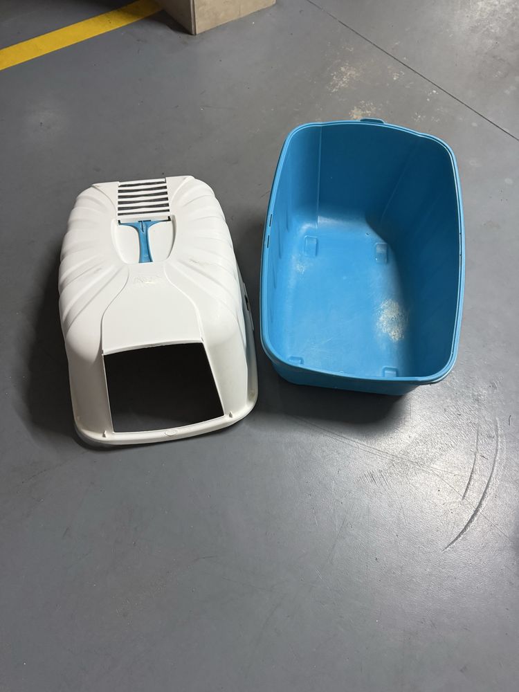 Wc gato branco e azul